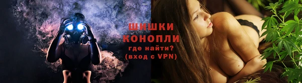 соль ск Горно-Алтайск