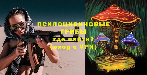 Альфа ПВП Горнозаводск