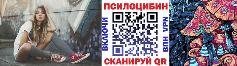 Галлюциногенные грибы Psilocybine cubensis Ейск
